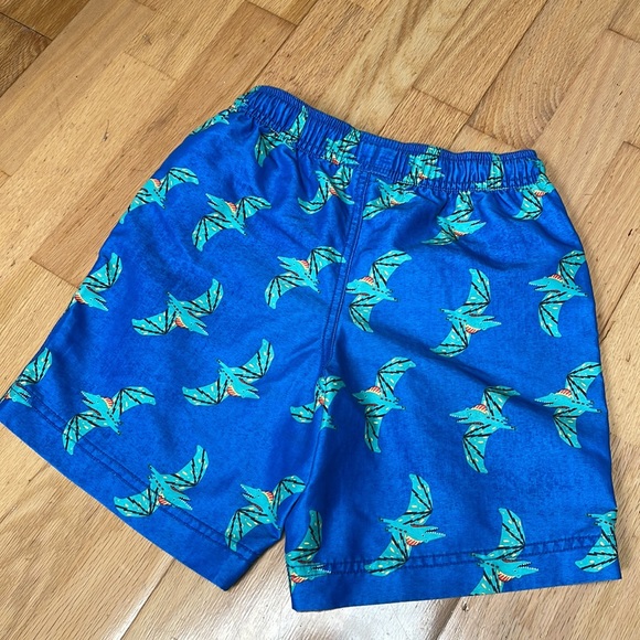 Hanna Anderson Boys Swim Trunks - Picture 2 of 3